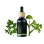 BIO Angelika - 100% přírodní esenciální olej (10ml) - Pěstík