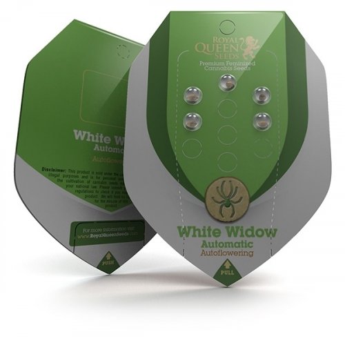 White Widow Automatic - feminizované a samonakvitacie semienka 3 ks Royal Queen Seeds