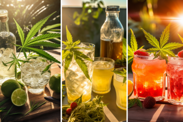 Nabijte si energii se třemi osvěžujícími letními drinky na bázi CBD!