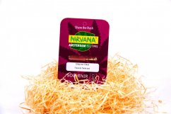 Original Glue - feminized marijuana seeds 5 pcs Nirvana Seeds