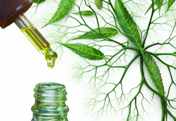 Die Reise des CBD-Öls durch den Körper: Was passiert nach der Einnahme?