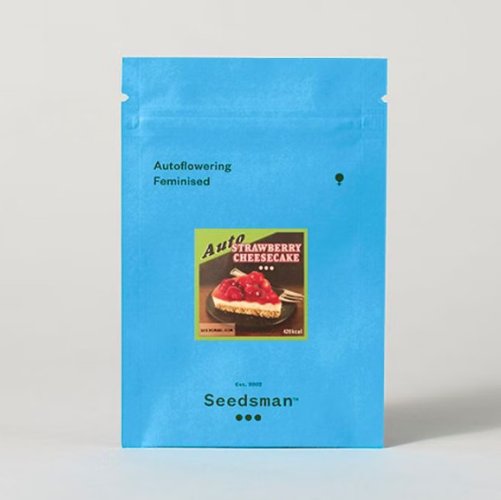Strawberry Cheesecake Auto - autoflowering marijuana seeds, 3pcs Seedsman