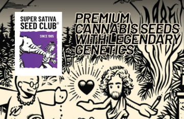 NEUHEIT IN UNSEREM ANGEBOT: Samen von der Seedbank Super Sativa Seed Club