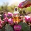 Kaktusfeigenöl - 100% natürliches ätherisches Öl 10ml