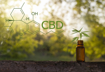 CBD: Alles, was wir über seine Sicherheit und Wirkungen wissen