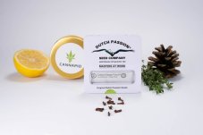 Critical Orange Punch® - feminisierte Samen 3 Stück Dutch Passion