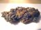 Glory of Afghan Hemp