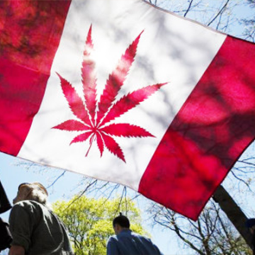 Legalisierung von Cannabis reduziert die Arbeitslosigkeit