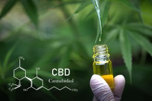 ORAL VS. SUBLINGUAL ADMINISTRATION OF CBD: WHICH METHOD WILL GUARANTEE MAXIMUM EFFECTS?