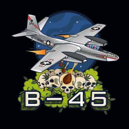 B-45 by BOOBA - feminizované semena 3ks, Silent Seeds