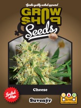 Cheese 5 feminizované semínka Growshop seeds
