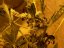 Liberty Haze - feminisierte Samen 10 Stück Barney's Farm