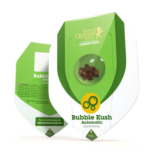 Bubble Kush - samokvitnúce semienka 3 ks Royal Queen Seeds