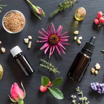 Terpeni: Proprietà e Benefici delle Molecole Aromatiche