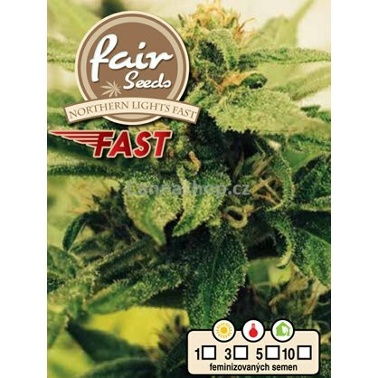 Northern Lights FAST - feminisierte Marihuana Samen 5Stck Fair Seeds
