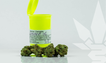 Cannabistherapie auf Rezept: Wem und wann wird sie verschrieben