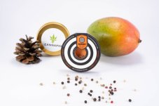 Swiss Dream Auto CBD - 3ks samonakvétací semínka Kannabia Seeds