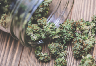 Wie lagert man Cannabis richtig und welche Qualität hat es?