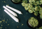 Blunt, Joint and Spliff: What Are the Differences?