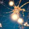 Cannabis and Brain Cells - Study
