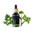 BIO Angelika - 100% přírodní esenciální olej (10ml) - Pěstík