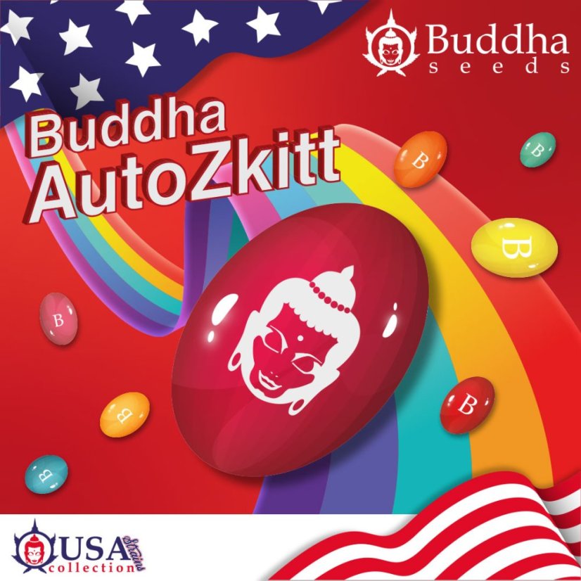 Buddha Auto Zkitt, 10 pcs, Buddha Seeds