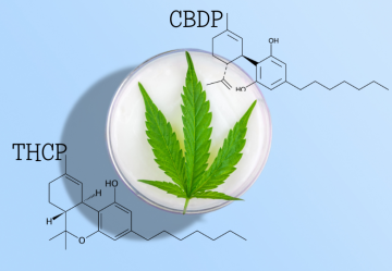THCP a CBDP: Nedávno objavené kanabinoidy