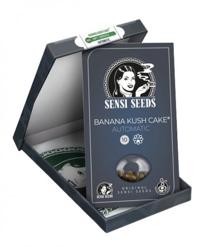 Banana Kush Cake Automatic - nasiona automatycznie kwitnące 3 sztuki Sensi Seeds