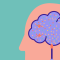 CBD Oil in Epilepsy Treatment: What Do Studies Say?