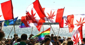 Bewertung des nationalen Bedarfs kanadischer Krankenschwestern an Cannabis für therapeutische Zwecke