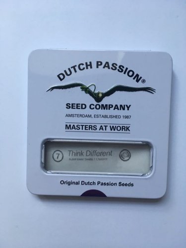 Think Different - autoflowering seeds 7 pcs Dutch Passion