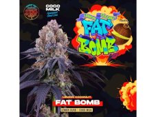 Perfect Tree Seeds Lemon Coconut Fat Bomb feminizované semená, 6 ks