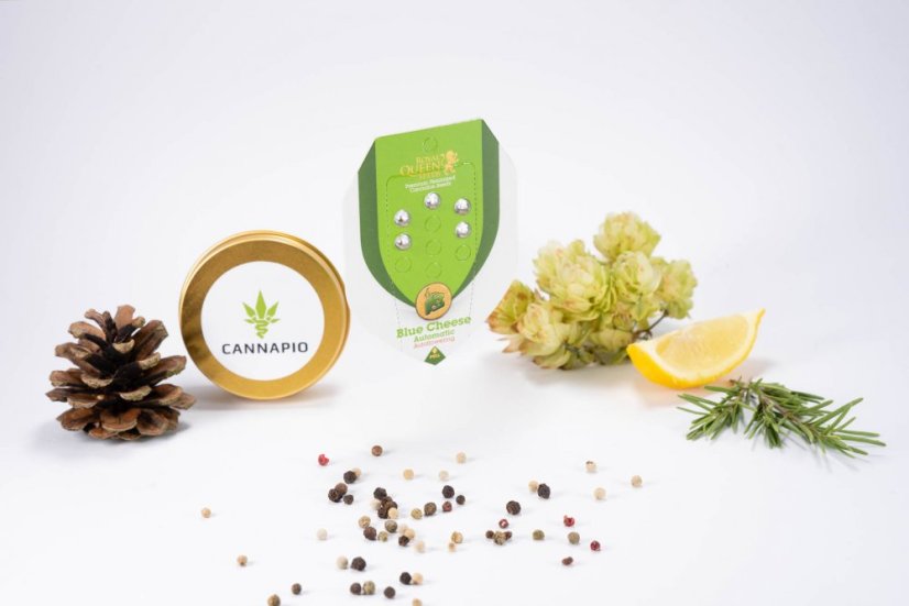 Blue Cheese - feminizované a samonakvitacie semínka 3ks Royal Queen Seeds