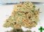 Blue Dream - feminizovaná semínka 3ks Humboldt
