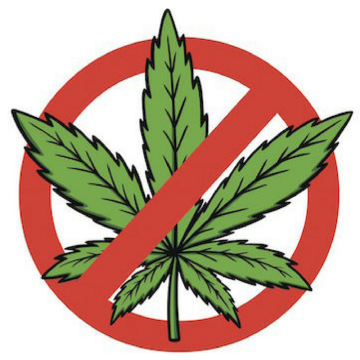 YouTube zensiert Videos über Cannabis. Warum?