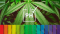 The Importance of pH in Cannabis Cultivation