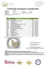 Super Silver Haze CBG - Cannapio Flores CBD Interior 10g