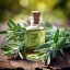 Sage - 100% natural essential oil 10 ml