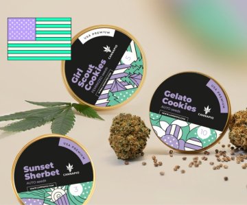 Meet our new Cannapio USA Special strains!