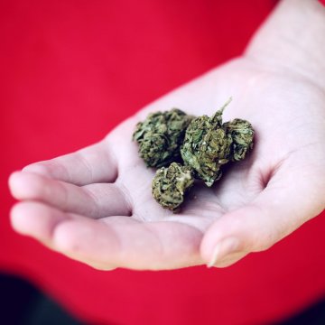 Wie man THC effektiv aus dem Körper entfernt?