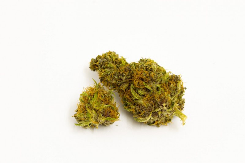 Zenergy - Indoor CBD květy Cannapio 500g