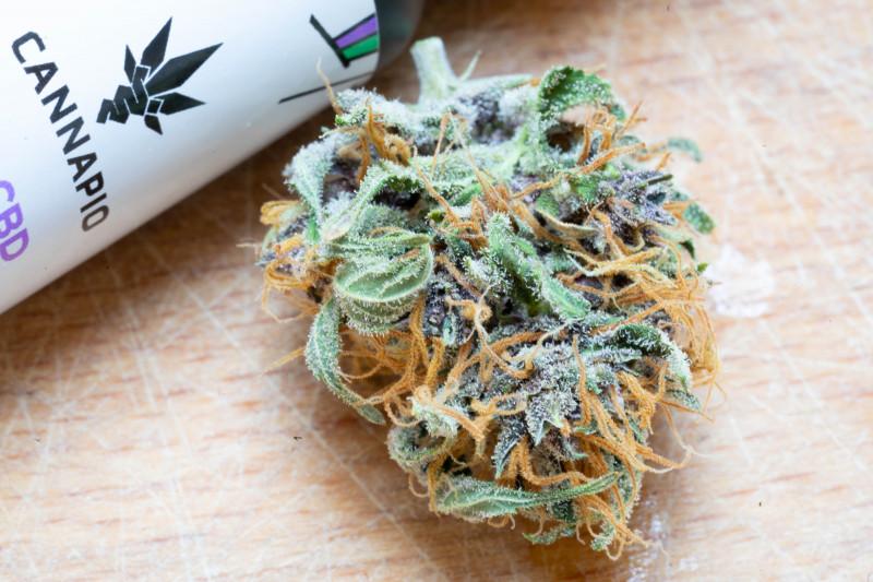 Zenergy - Indoor CBD květy Cannapio 20g