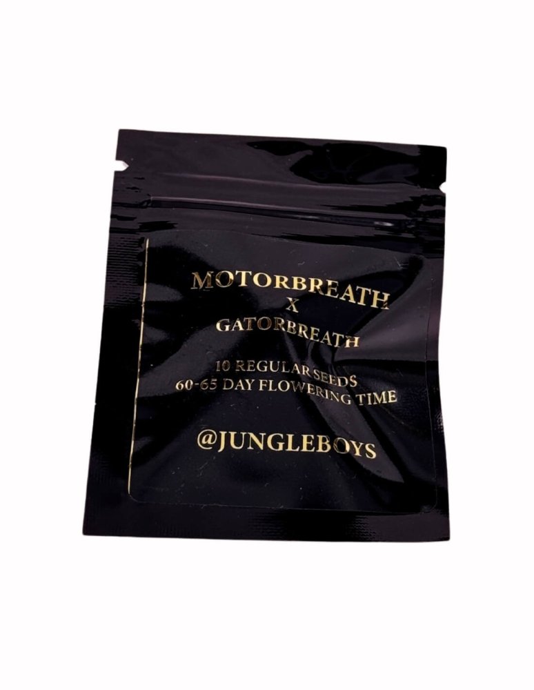 Jungle Boys Gatorbreath x Motorbreath regulérní semena