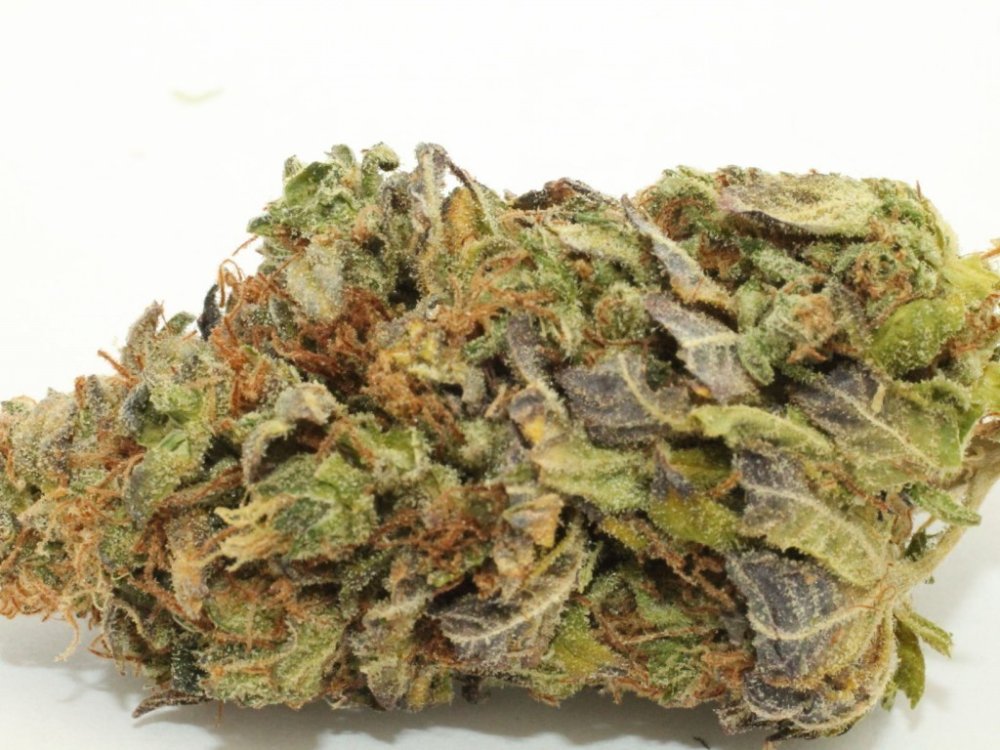 Emerald Triangle Lemon Diesel feminizovaná semena