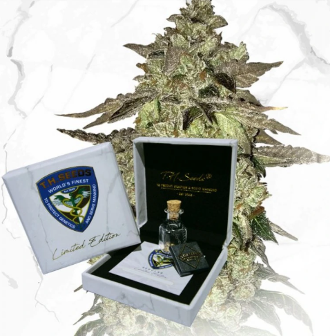T.H. Seeds Dosidos x Birthday Cake regulérní semena