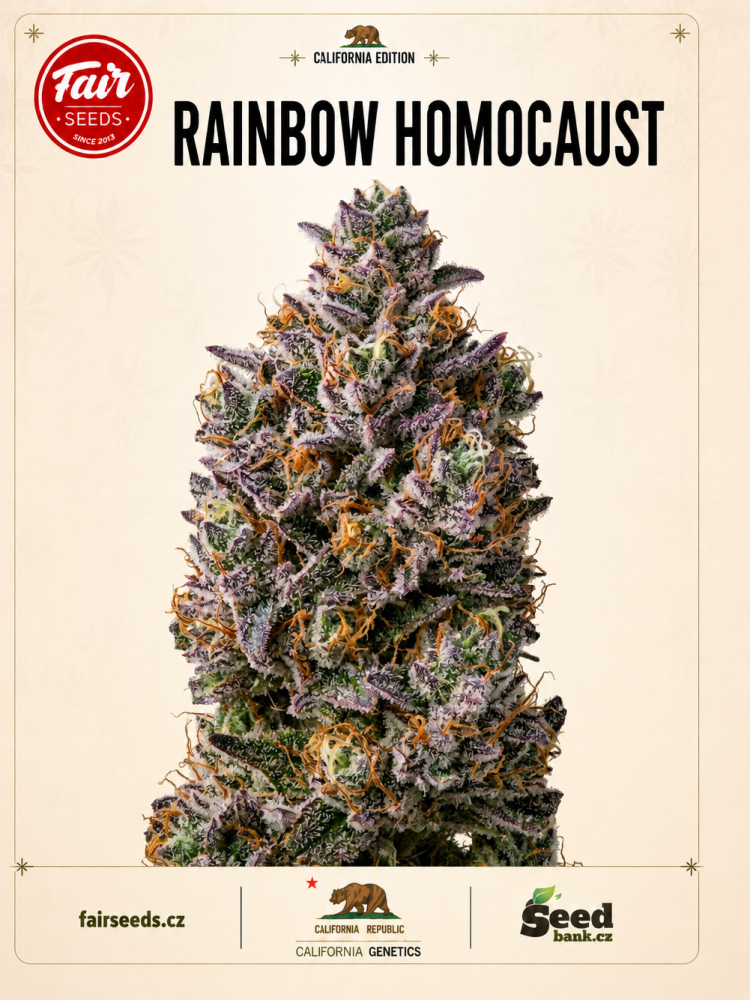 Fair Seeds Rainbow Homocaust feminizovaná semena