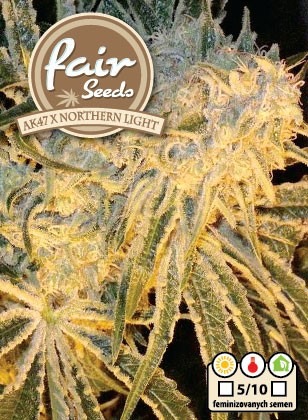 AK47 x Northern Light 10 femizovaných semen Fair Seeds