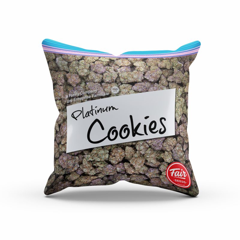 Polštář Fair Seeds Platinum Cookie 38 x 38 cm