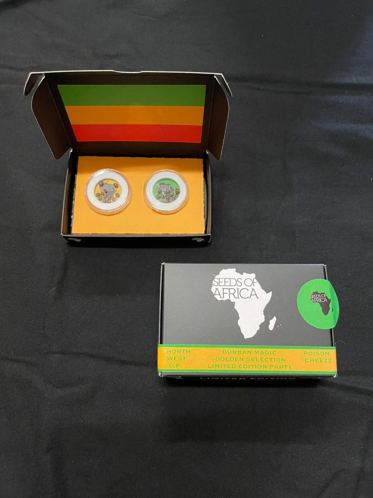 Seeds of Africa Northwest Durban Poison a Poison Cheezz, 24 semen