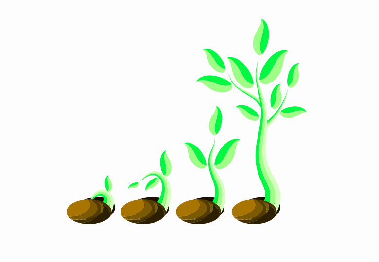 4 základní fáze růstu rostliny konopí